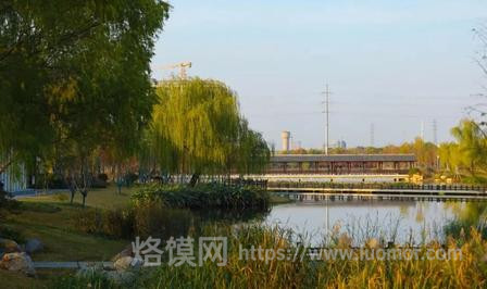 塌陷地涅槃,城西寻桃源|徐州桃花源湿地公园,藏在故黄河畔的城市秘境 塌陷地涅槃,城西寻桃源|徐州桃花源湿地公园,藏在故黄河畔的城市秘境